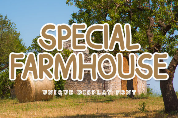 Special Farmhouse