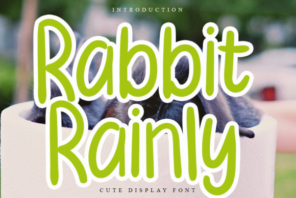 Unlocking Creativity with Rabbit Rainly: The All-Round Display Font for Modern Designers